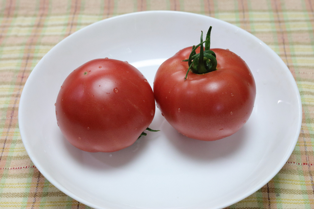 大玉トマト収穫 2016